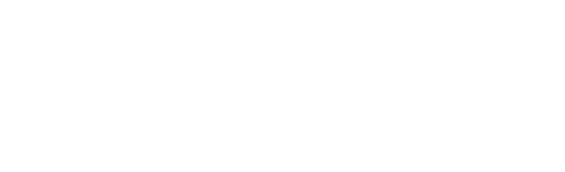 FlyVietnam
